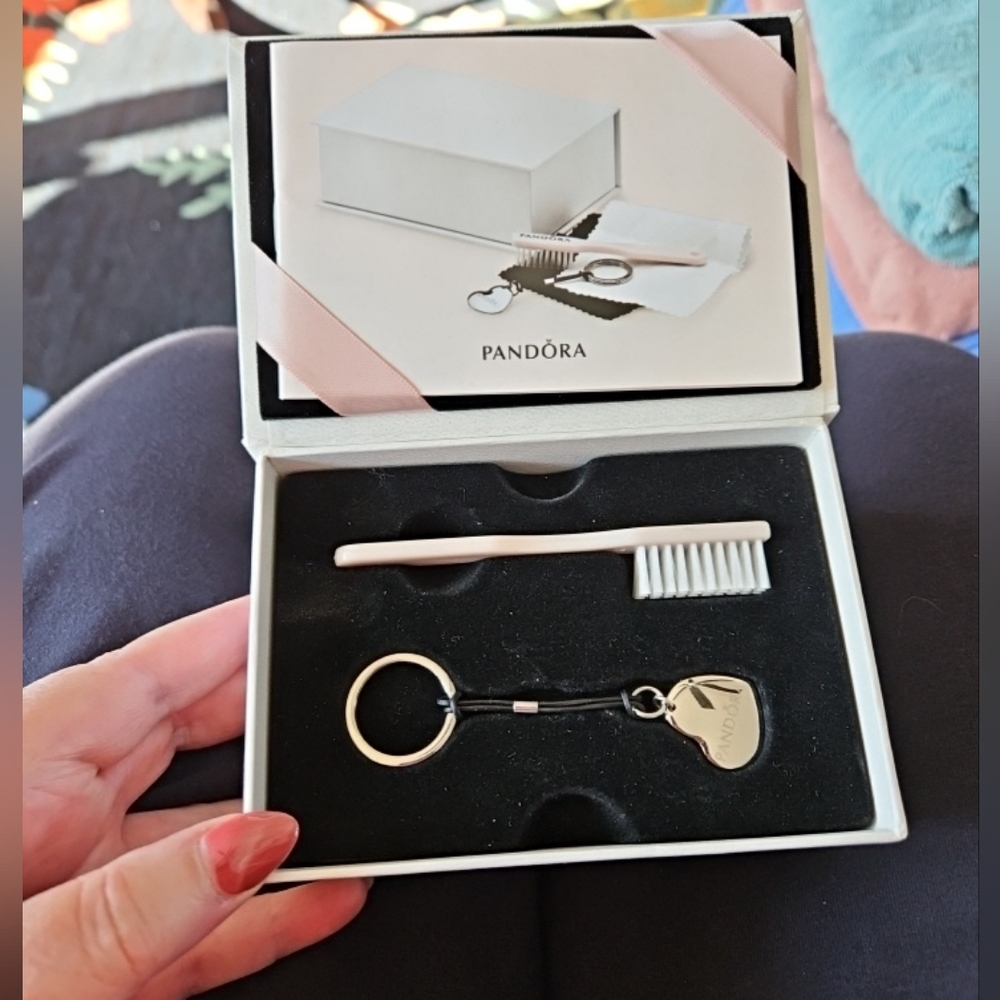 Pandora Cleaning Kit